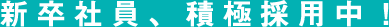新卒社員積極採用中！